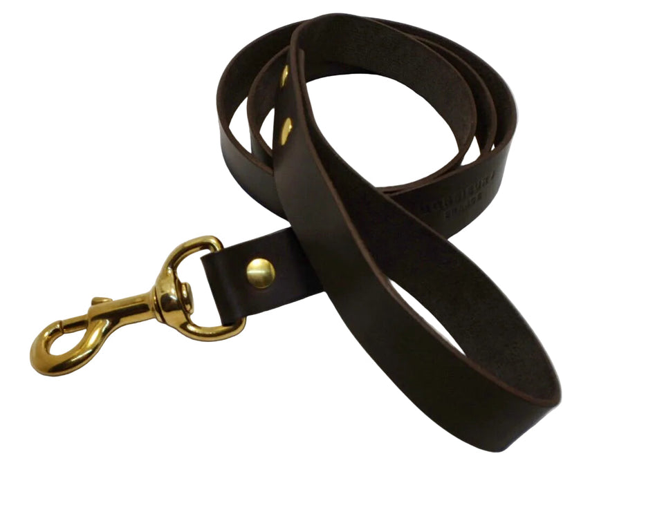 Laisse noir pour Animal sur fond blanc - Monsieur J 