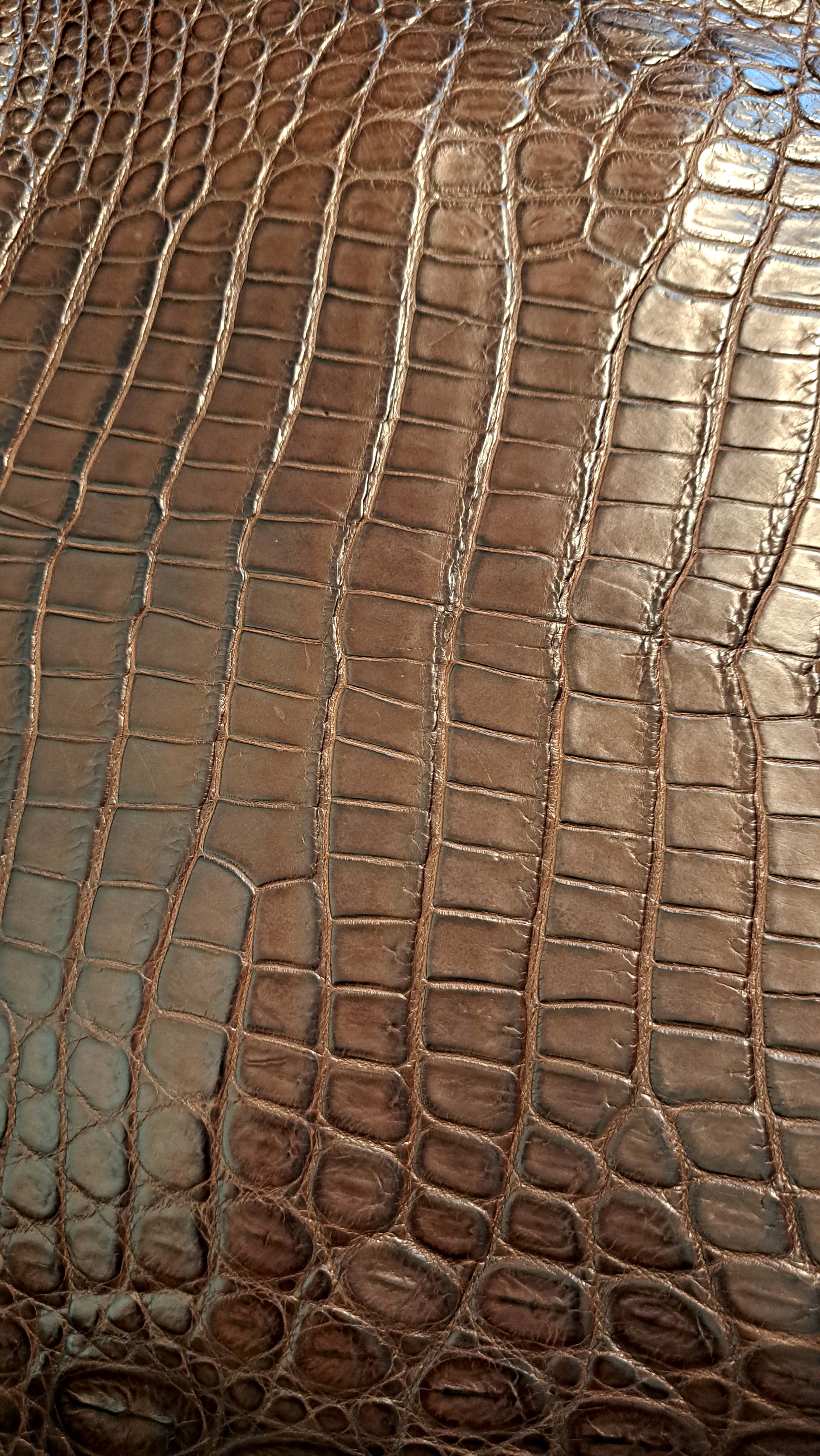 Porte monnaie Royal croco - Monsieur J 