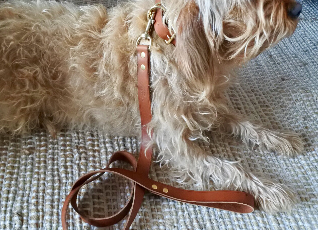 Collier Animal - Monsieur J 