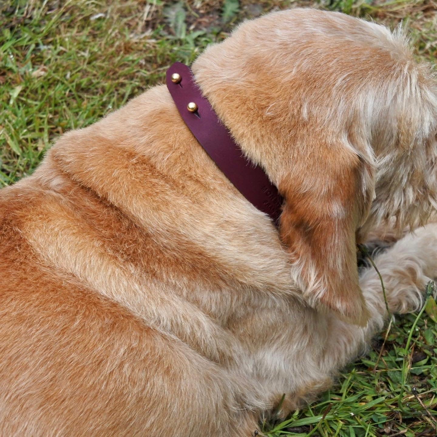 Collier Élégance - Monsieur J 