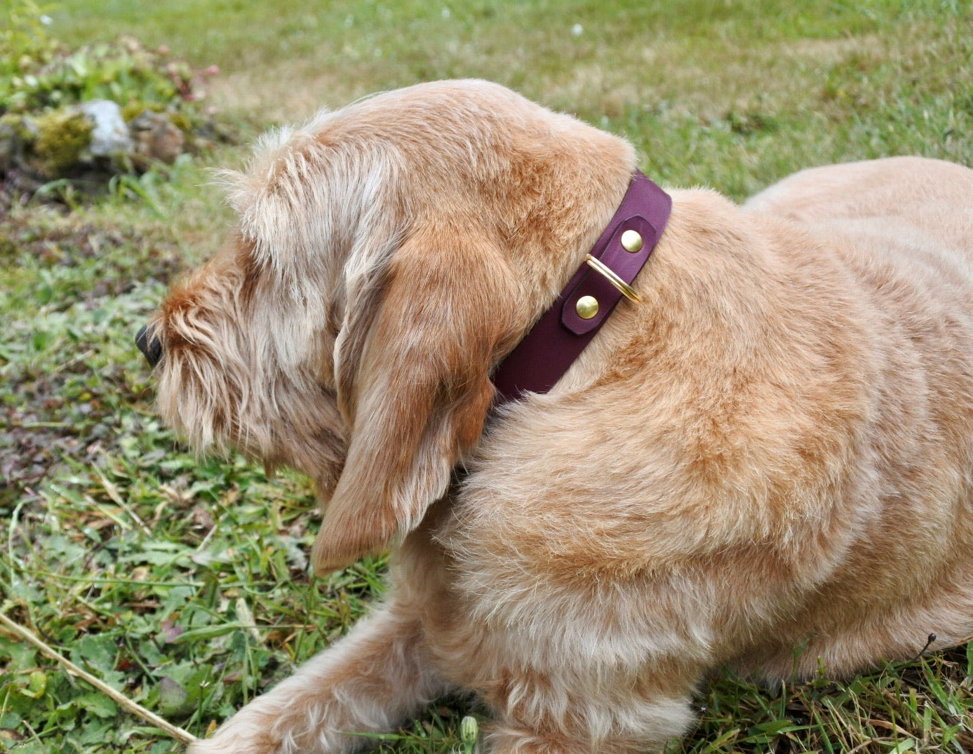 Collier Élégance - Monsieur J 