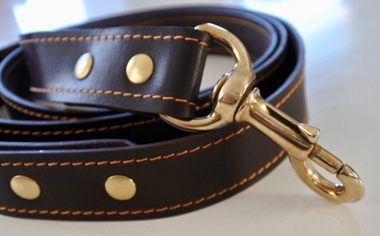 Laisse animal avec surpiqûre - Monsieur J 